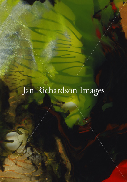 Anticipate Resurrection - Jan Richardson Images
