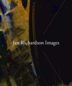 Does Not Demand Light - Jan Richardson Images