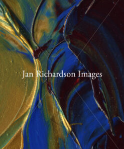 For Joy - Jan Richardson Images