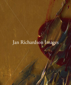 Gift of Mercy - Jan Richardson Images
