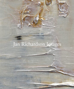 Gift of the Wilderness - Jan Richardson Images