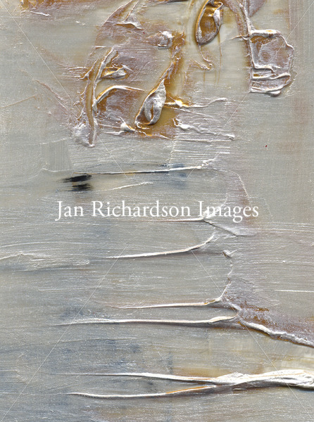Gift of the Wilderness - Jan Richardson Images
