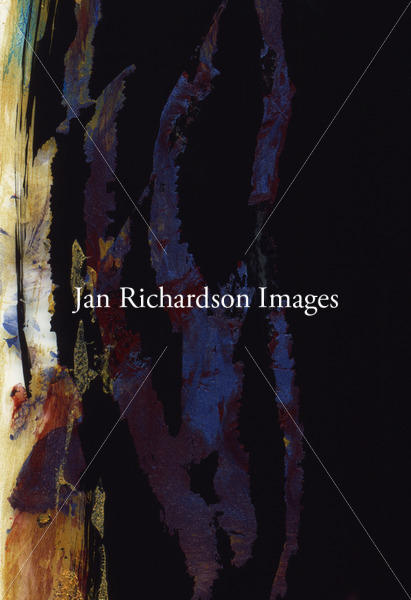 Grace in the Dark - Jan Richardson Images
