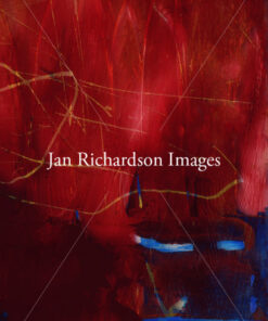 Here Be Dragons - Jan Richardson Images