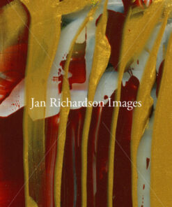 Holding the Light - Jan Richardson Images