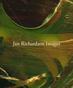 Holding the Mystery - Jan Richardson Images