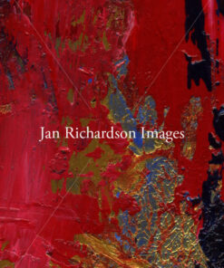 Holy In Delight - Jan Richardson Images