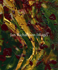 I Am the Vine - Jan Richardson Images