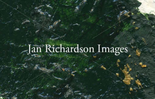 I Will Bless Her - Jan Richardson Images