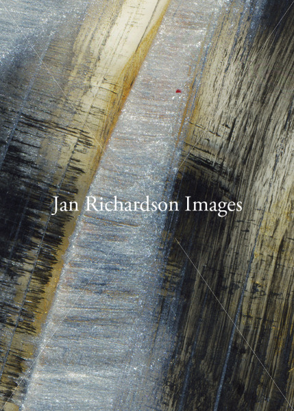 In the Wilderness Prepare the Way - Jan Richardson Images