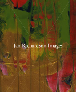 Into This Living - Jan Richardson Images