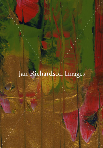 Into This Living - Jan Richardson Images