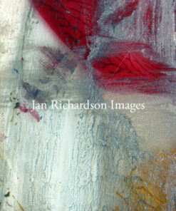 Love Is the Most Ancient Law - Jan Richardson Images