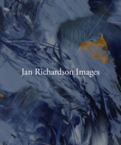 Only Speak the Word - Jan Richardson Images