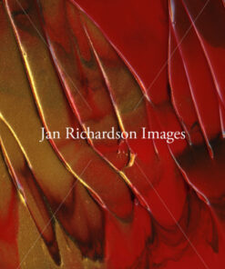 Pentecost Fire - Jan Richardson Images