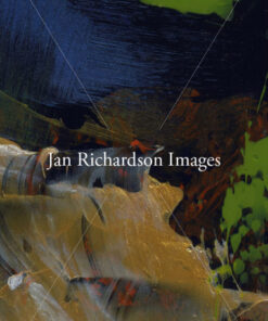 River of Life - Jan Richardson Images