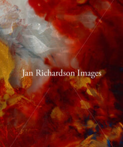 Salted with Fire - Jan Richardson Images
