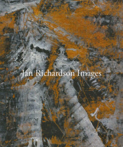 Shimmers Within the Storm - Jan Richardson Images