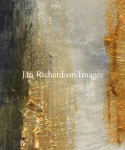 Testify to the Light - Jan Richardson Images