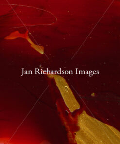 The River of John - Jan Richardson Images