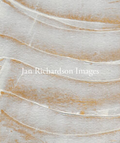 Transfiguration II - Jan Richardson Images