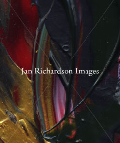 Untaming - Jan Richardson Images