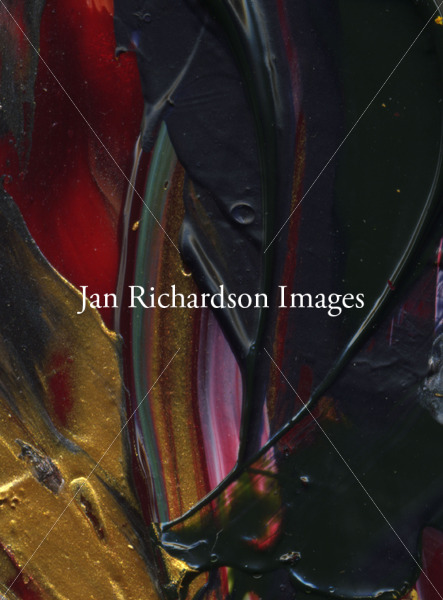 Untaming - Jan Richardson Images