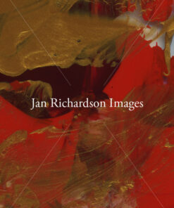 We Enter the Way by Opening Our Heart - Jan Richardson Images