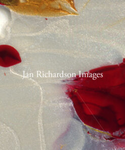 Welcoming Heart - Jan Richardson Images