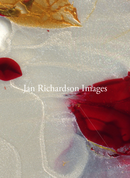 Welcoming Heart - Jan Richardson Images