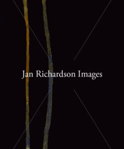 Where Grace Draws a Line - Jan Richardson Images