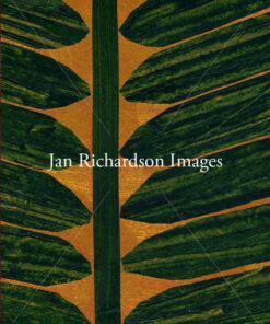 Where the Way Leads - Jan Richardson Images