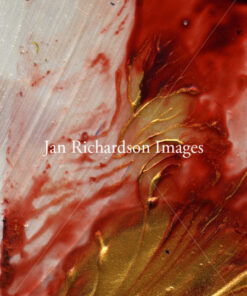 With the Spirit and Fire - Jan Richardson Images